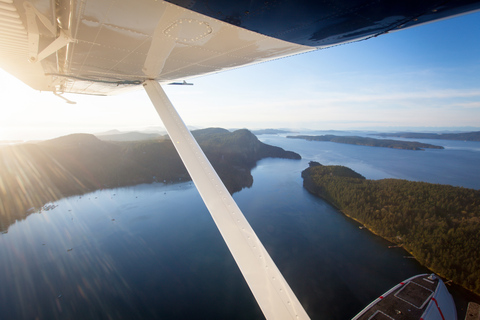 From Vancouver: Victoria Seaplane & Whale Watching Day Tour Victoria Whale Watching Afternoon Tour in Covered Vessel