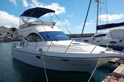 Tenerife sur: safari con barco de lujo , encuentros con animales