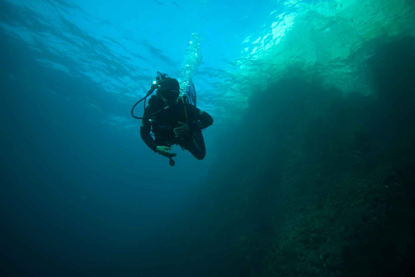 discover marine biodiversity at calanques national park