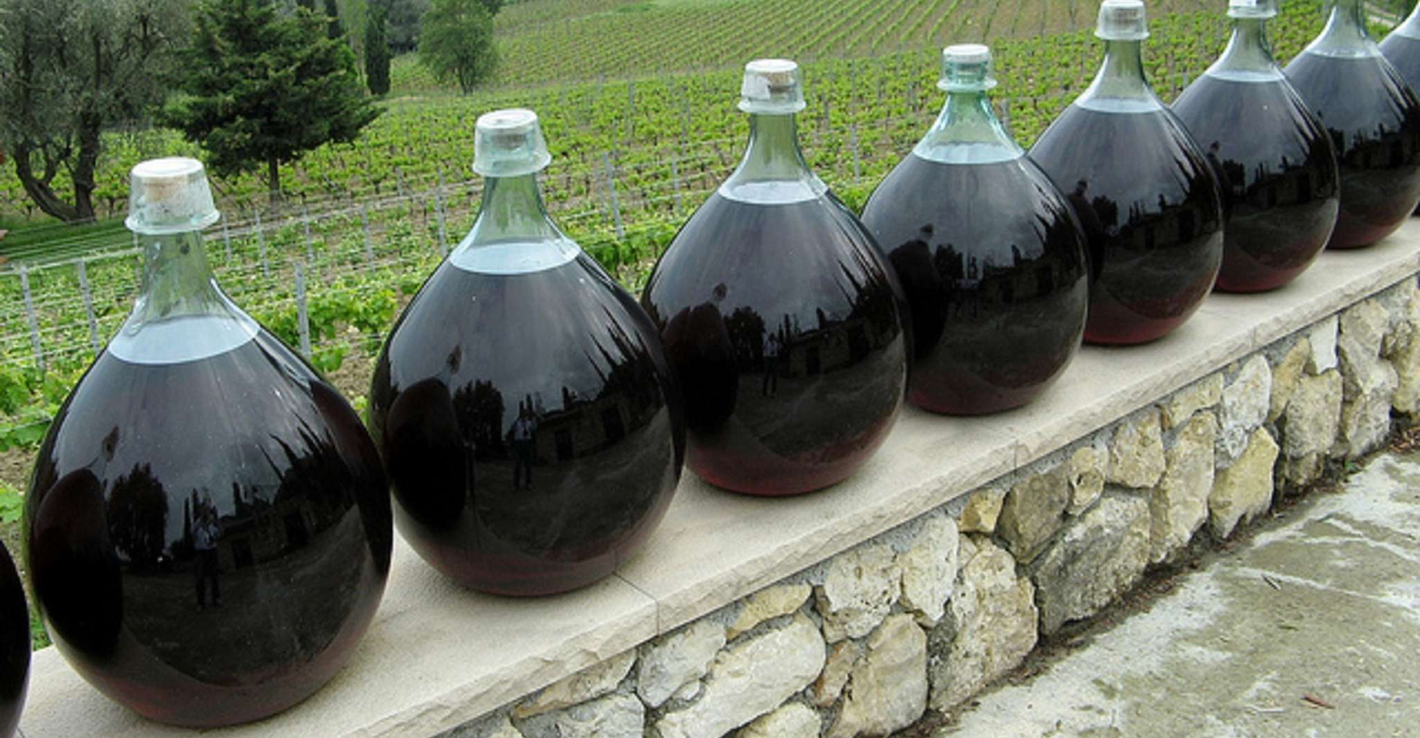 Nice, Half-Day Saint Paul de Vence and Wine Tasting Tour - Housity