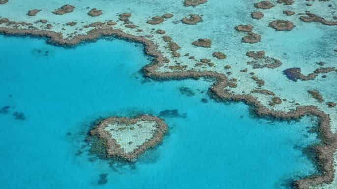 from airlie beach 1hour whitsunday islands scenic flight