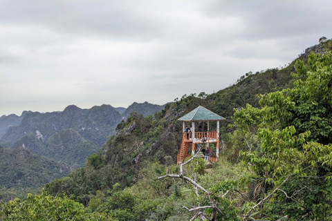 Half Day Hiking to Cat Ba National Park with a Guide