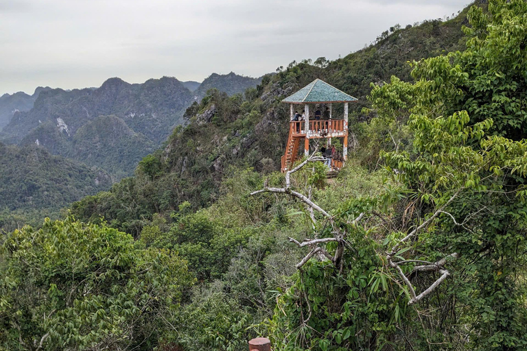 Half Day Hiking to Cat Ba National Park with a Guide