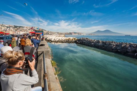 From Rome: Naples & Pompeii Guided Day Trip with Lunch