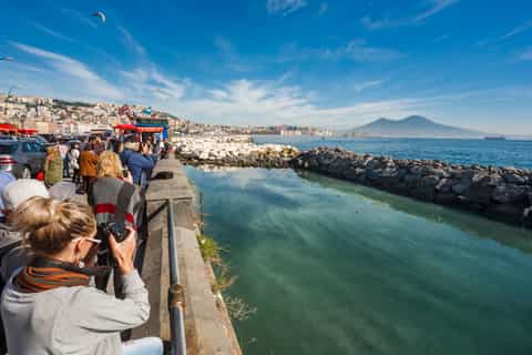 Napoli e Pompei: tour di 1 giorno con partenza da Roma
