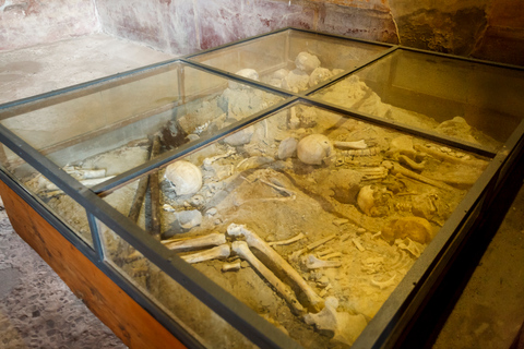 Vanuit Rome: Pompeii en Vesuvio dagtrip met gids en lunchVanuit Rome: Pompeii en Vesuvius begeleide dagtrip met lunch