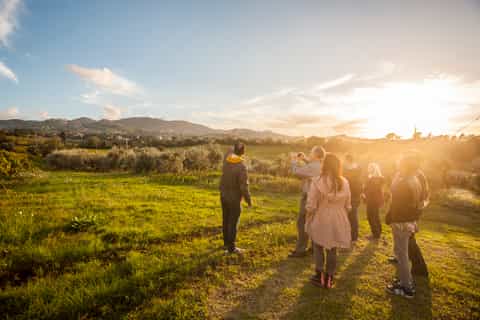 From Rome: Roman Countryside Vineyards and Wine Tasting