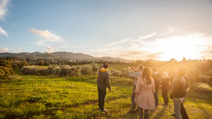 from rome roman countryside vineyards and wine tasting