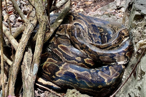 Zanzibar: Maasai Culture Tour & Nungwi Kilosa Zoo