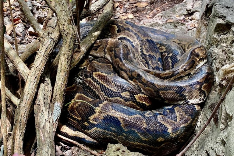 Zanzibar: Maasai Culture Tour & Nungwi Kilosa Zoo