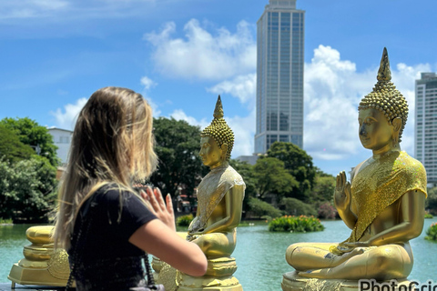 Tour del Triangolo Culturale dello Sri Lanka di 10 giorni+alloggio a 5 stelle