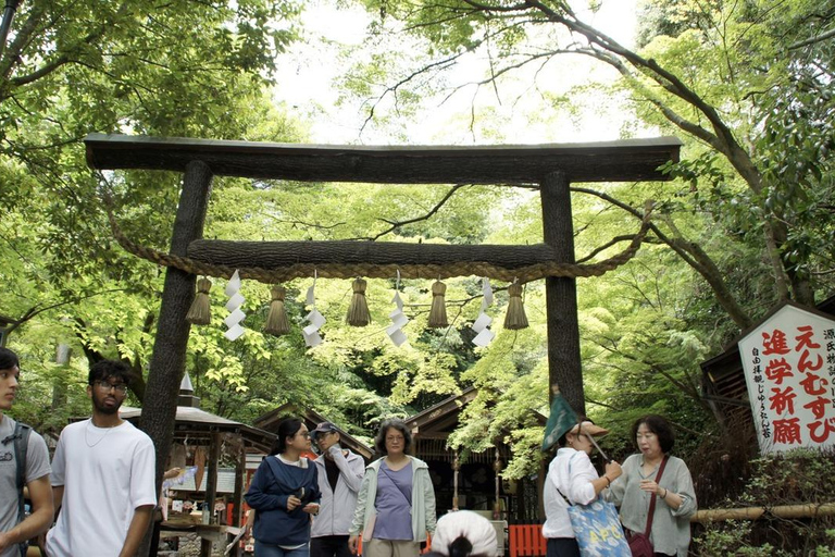 Quioto: Bambu de Arashiyama, Matcha, Macacos e Passeio pelo TemploKyoto: Passeio pela Floresta de Bambu de Arashiyama, Macacos e Templo