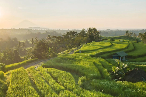 Bali: Discover Jungle Waterfalls and Rice TerracesPrivate Tour with Entry Tickets