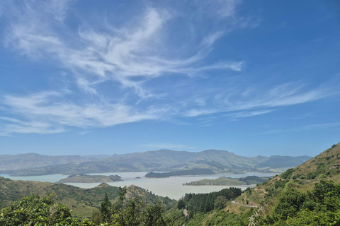 Christchurch Private Scenic Highlights Tour with Local Guide