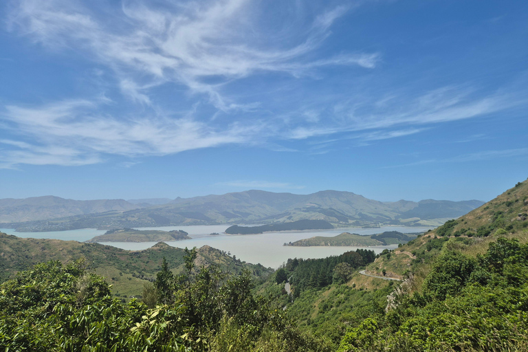 Christchurch Private Scenic Highlights Tour with Local Guide