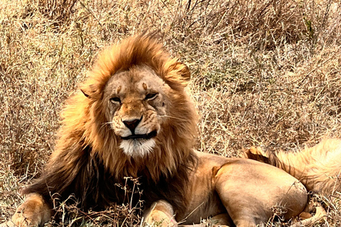 坦桑尼亚：8日坦桑尼亚野生动物与文化精华之旅