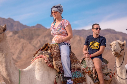 Sharm El Sheikh: Quad bike, Safari, Camel With Dinner &amp; Show1H Quad bike, Camel