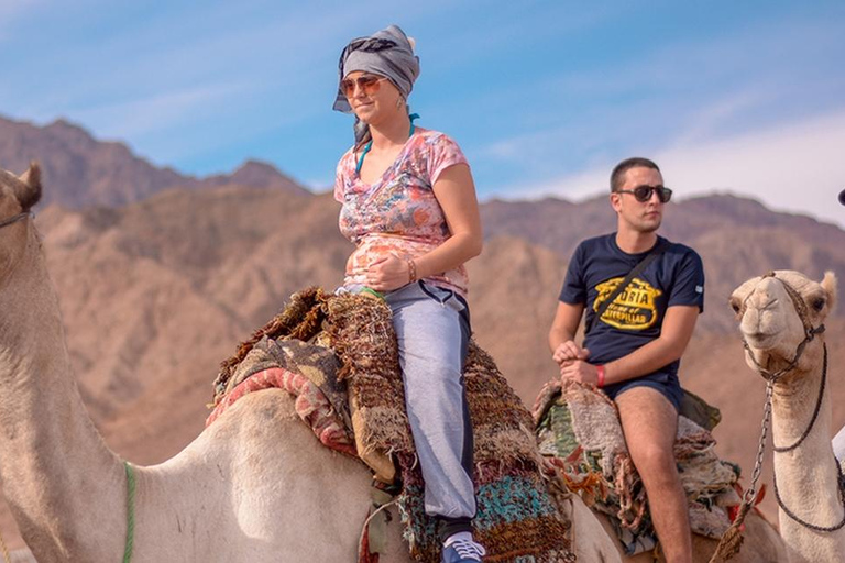 Sharm El Sheikh: Quad, safari, wielbłąd z kolacją i pokazem1H Tylko quad