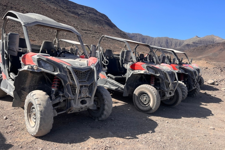 Fuerteventura : Excursion en buggy dans le sud de l'îleBuggy pour 2 personnes