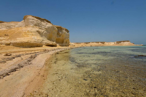 Doha: West Coast Qatar Tour, Sculptures, Camel Racing track From Doha Premium West Qatar Tour