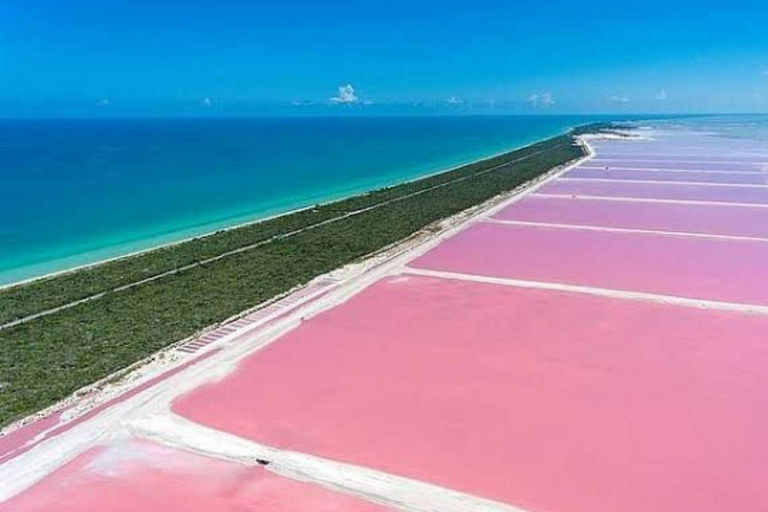 Cancun: Las Coloradas & Rio Lagartos Day Tour & À la carte