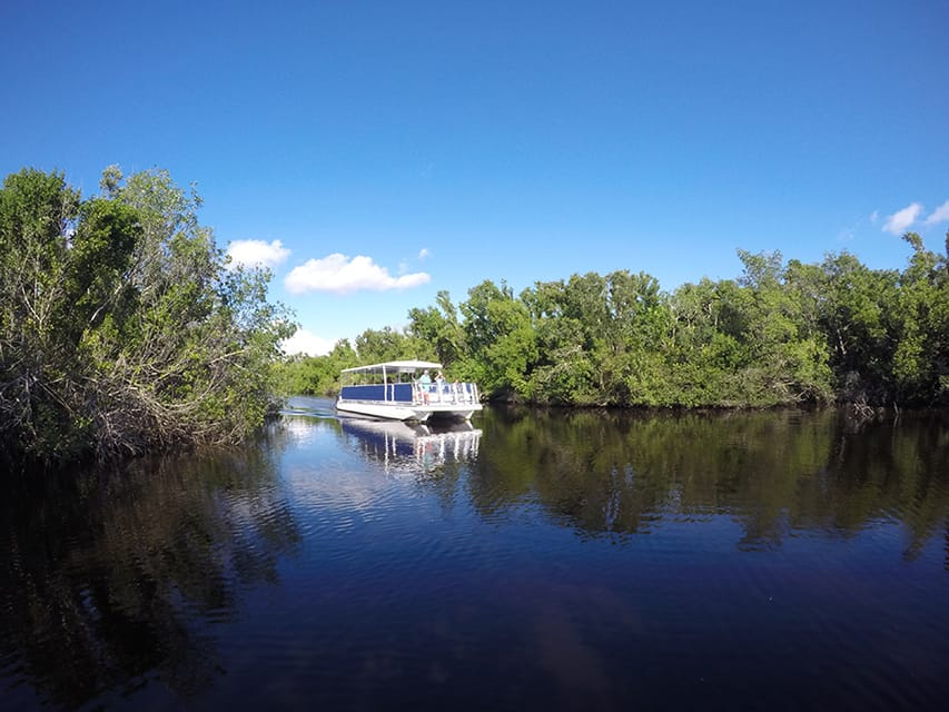 Flamingo Marina: Backcountry Boat Tour of the Everglades | GetYourGuide