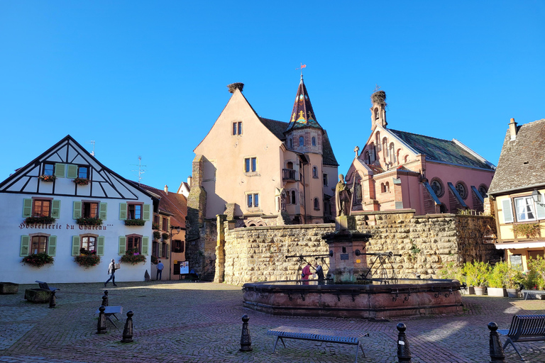 From Colmar: Alsace wine route tour Half Day