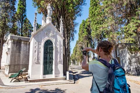 Lisbon Highlights: Private 7-Hour Tour