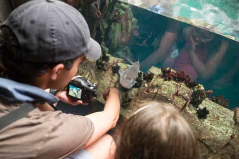 Lisbon: Oceanarium Entrance Ticket