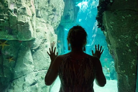 Lisbon: Oceanarium Entrance Ticket