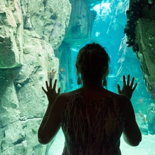 Ingresso para o Oceanário de Lisboa