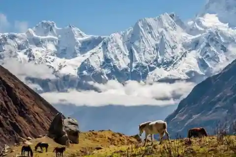 Circuito del Manaslu Trek - 16 giorni