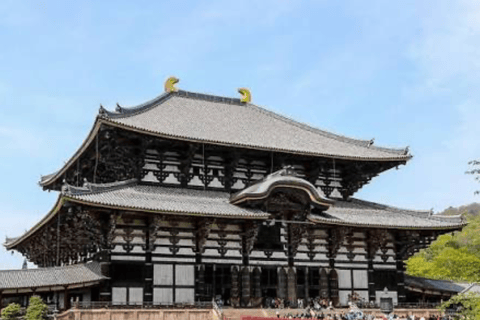 Nara: Private Full-Day Tour with Licensed Guide