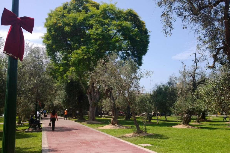 Fietstour door het koloniale Lima