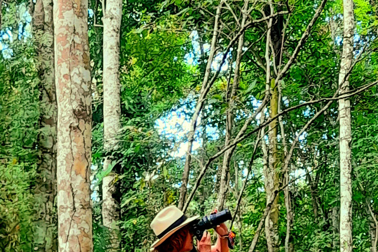 Ciudad de Panamá a tu medida, Diseña tu propio itinerario