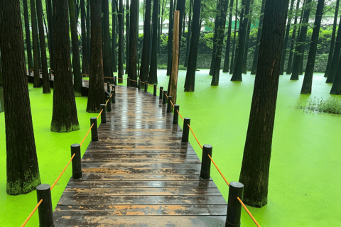 Qingshan Lake Entry Ticket