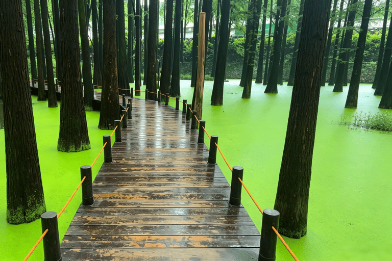 Qingshan Lake Entry Ticket