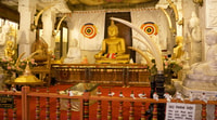 Sri Lanka Hügel Land Zug, Kandy, Nuwara Eliya 2-Tage - Hizvo