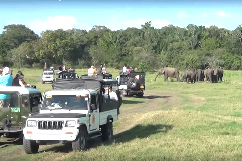 Sri Lanka: Safari de dos días por la vida silvestre de YalaSafari de vida silvestre: Opción de presupuesto