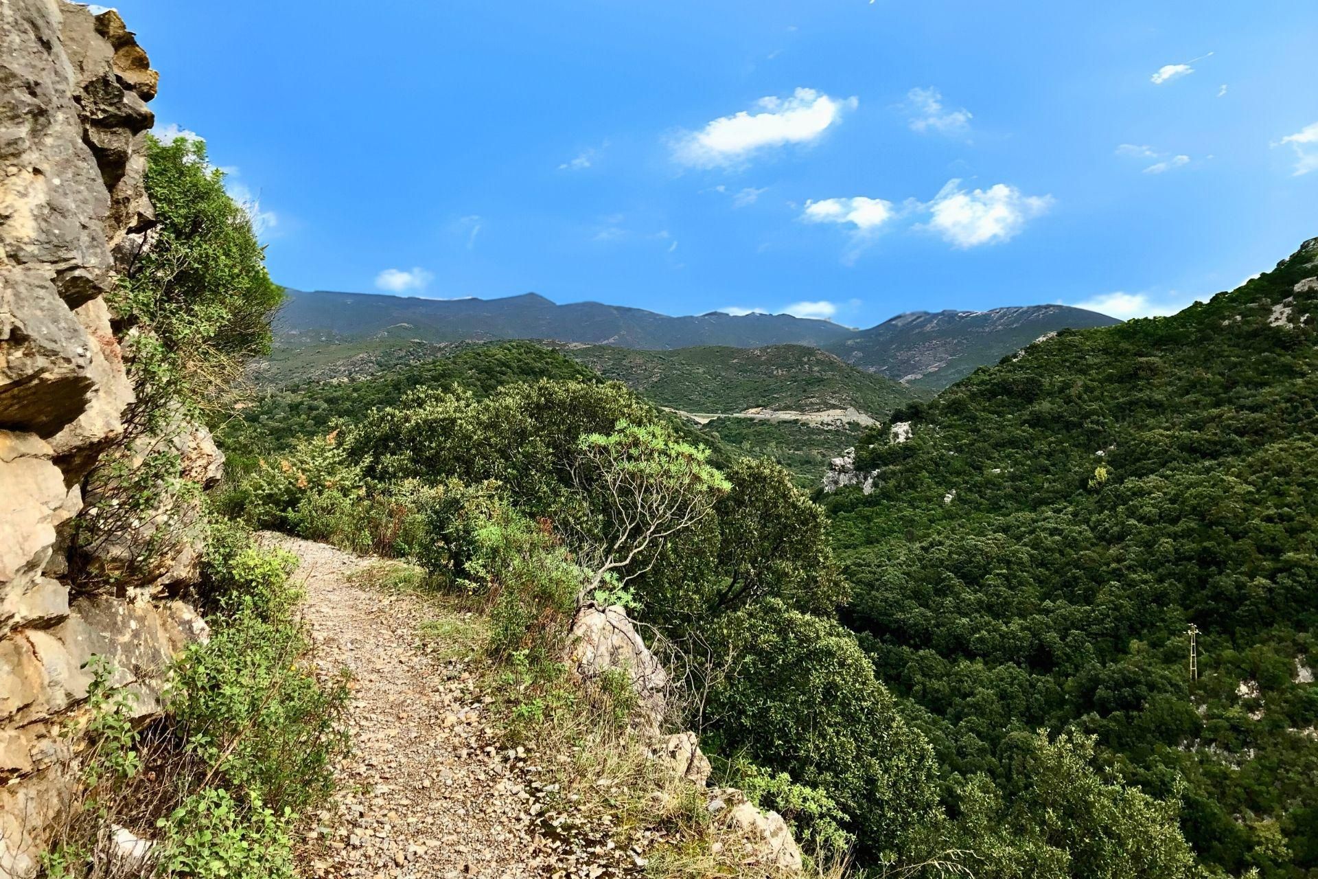 Iglesias: Trekking im Marganai-Wald in Domusnovas