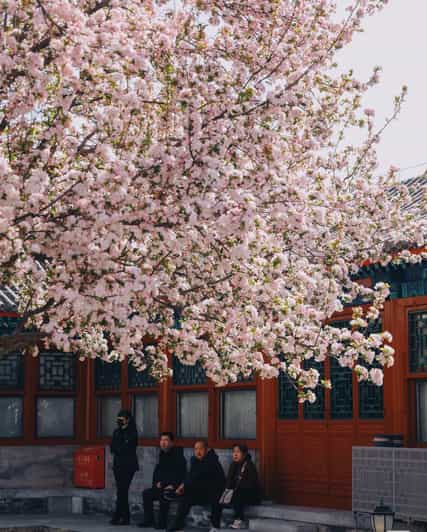 Maison du prince Kung : entrée avec audioguide multilingue