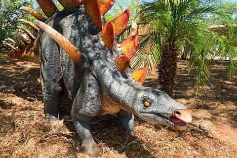 Phoenix Zoo: One Day General Admission Ticket