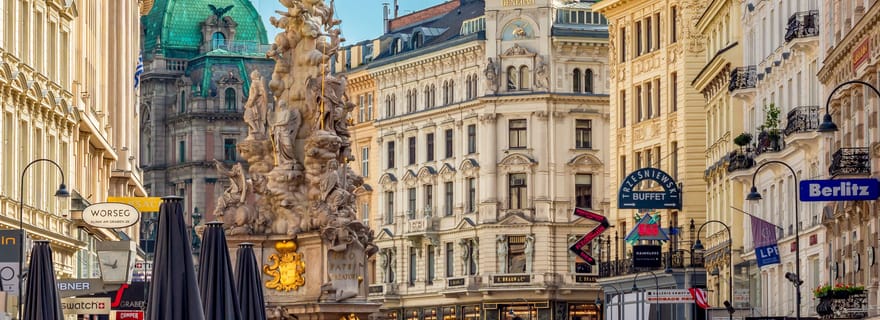 Vienne : visite guidée à pied en petit groupe des temps forts de la ville