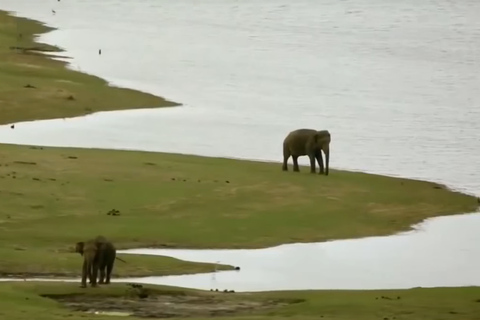 Tour di più giorni: safari sugli elefanti nel parco nazionale di Udawalawe