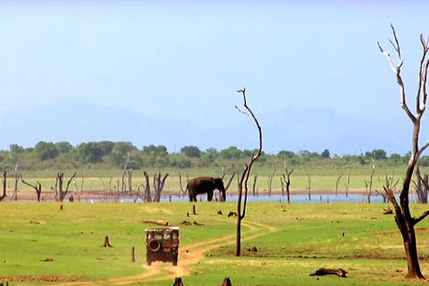 Tour di più giorni: safari sugli elefanti nel parco nazionale di Udawalawe