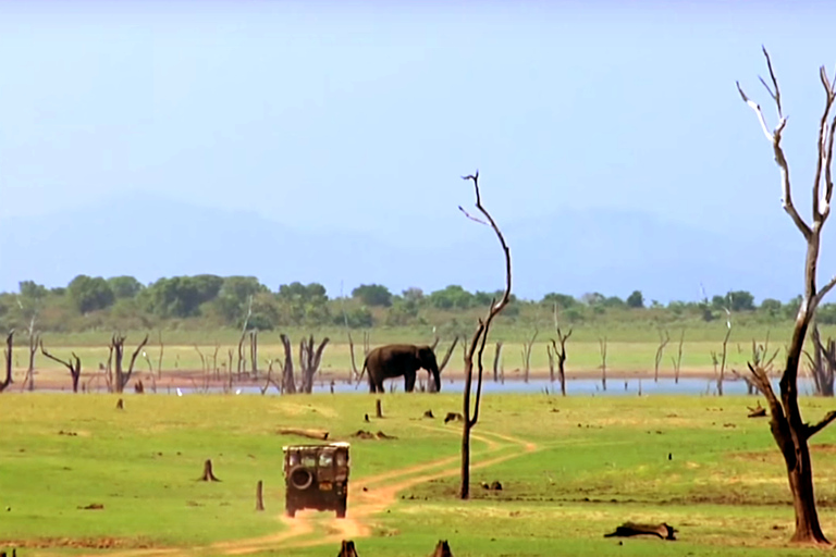 Tour di più giorni: safari sugli elefanti nel parco nazionale di Udawalawe