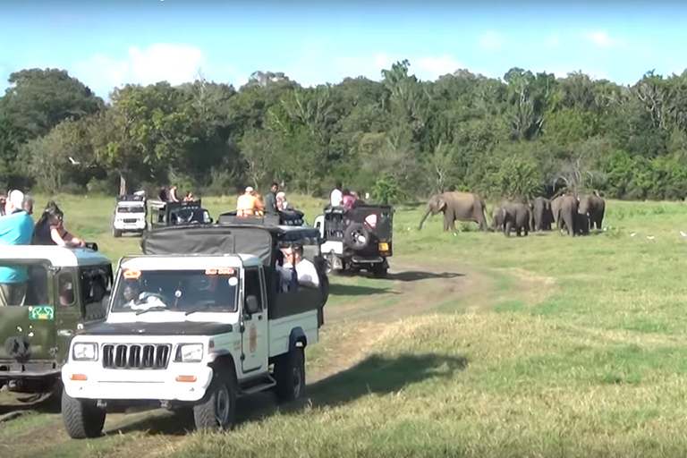 Tour di più giorni: safari sugli elefanti nel parco nazionale di Udawalawe