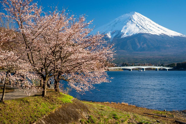 Mount Fuji, Oshino Hakkai & Outlet Onsen Day Tour From Tokyo Departure From Tokyo Station