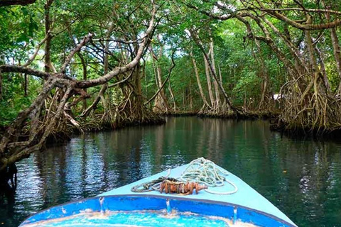 República Dominicana: tour guiado de 6 horas por la Laguna Gri-Gri