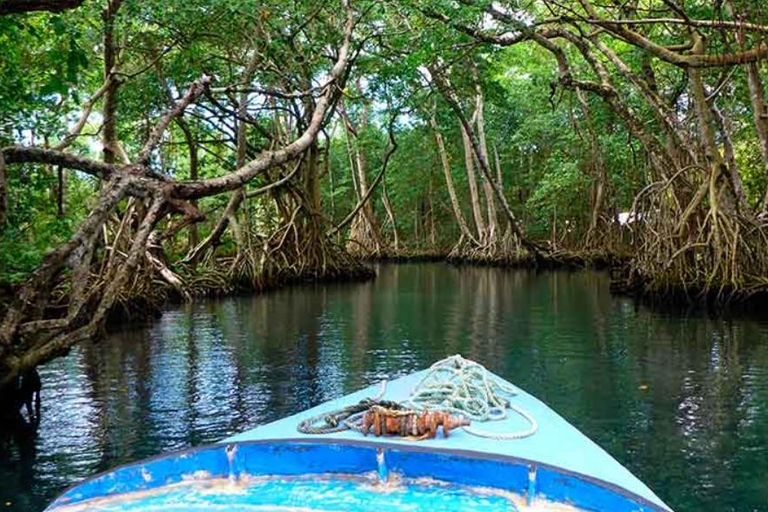 República Dominicana: tour guiado de 6 horas por la Laguna Gri-Gri